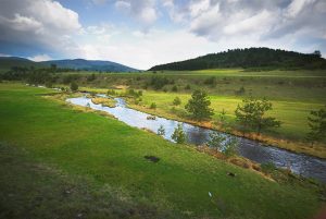 Read more about the article Kombinacija gloga i jabuke je ključ zdravlja