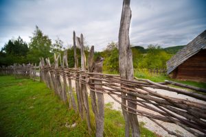 Read more about the article Srbija-Kina