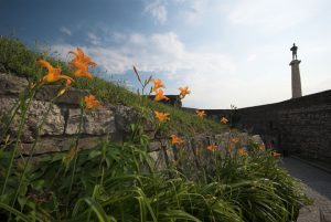 Read more about the article DVERI