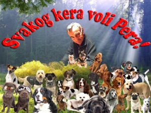 Read more about the article Da li postajemo bolji ljudi uz kućne ljubimce?