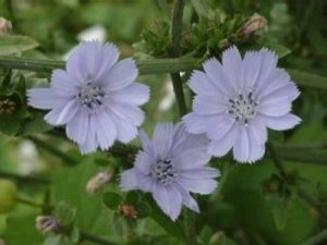 Read more about the article Muški strahovi