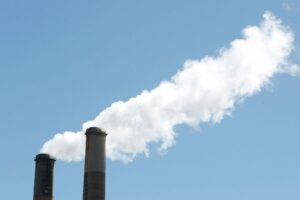 Read more about the article Zorana Mihajlović