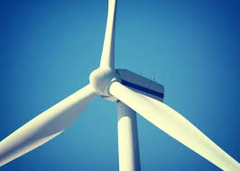 Read more about the article EKOLOGIJA